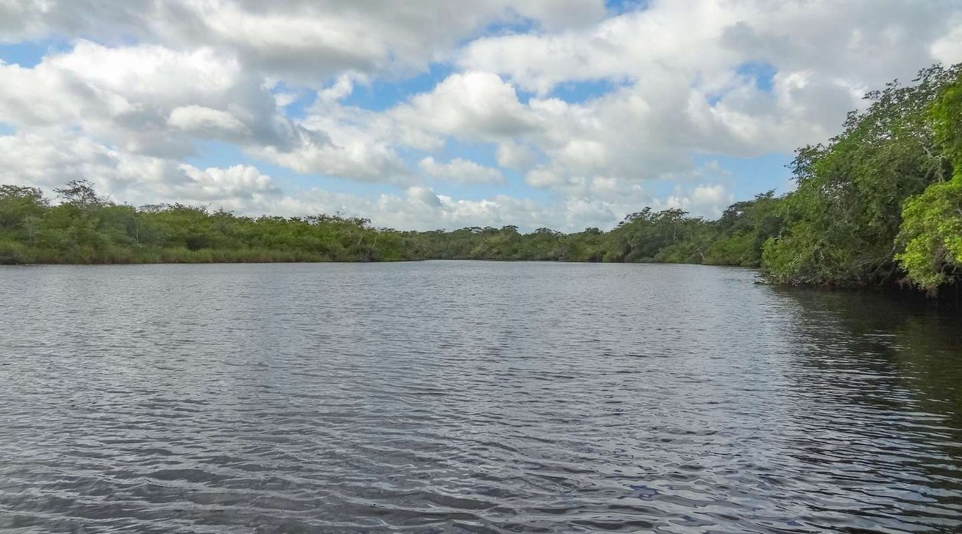 Belize Manatee Excursion Tour Image 5