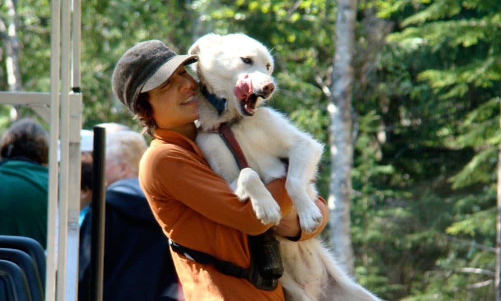 Skagway Sled Dog and Musher's Camp Tour Image 3