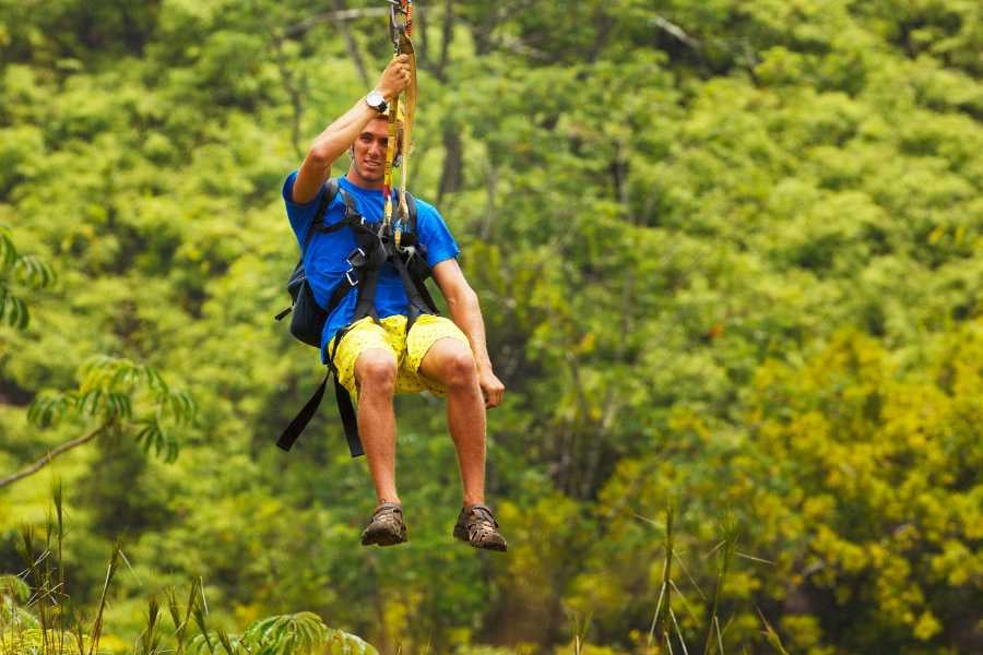 An adventurer zip-lining through a lush green jungle, enjoying an adrenaline-filled ride above the trees.