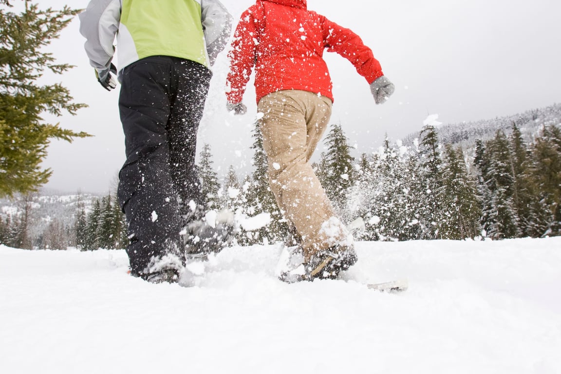 Guided Snowshoe Tour - Full Day Tour Image 8