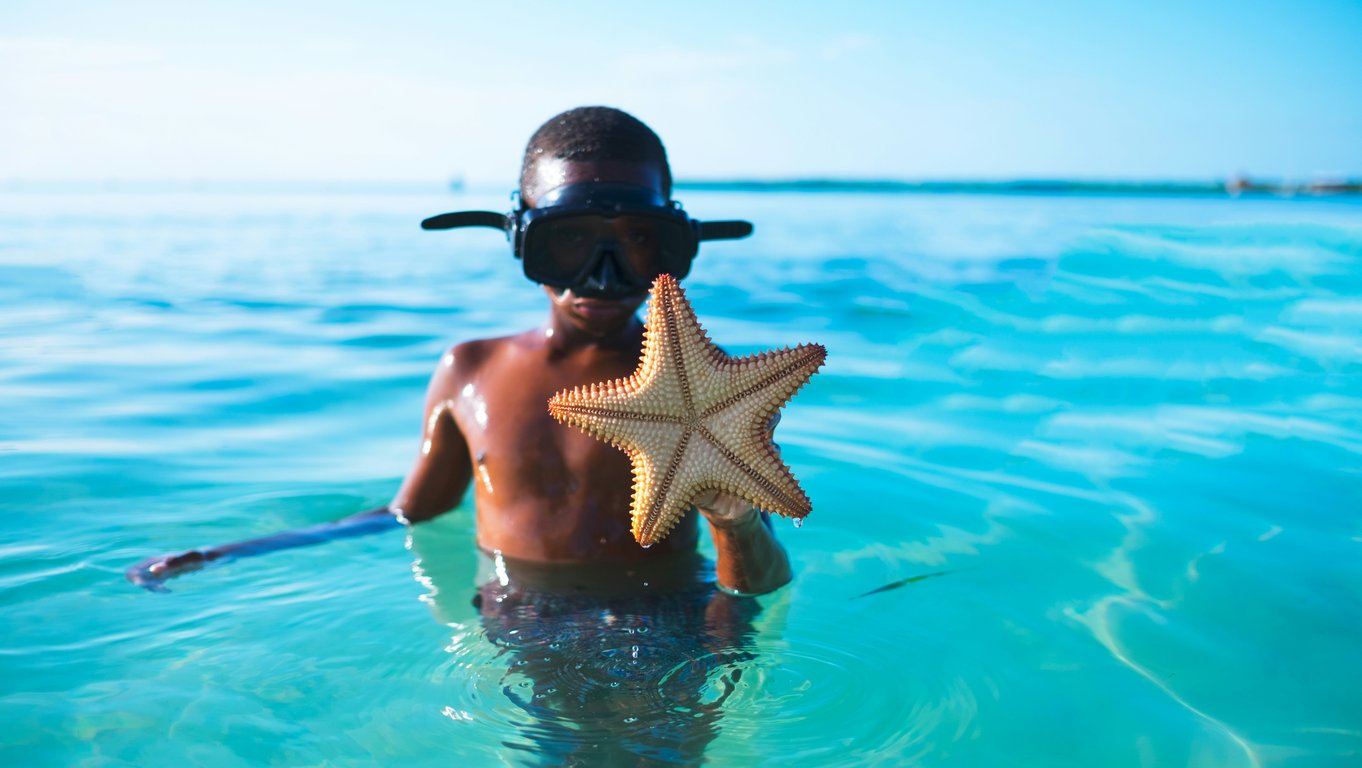 Ambergris Caye Snorkeling Guide: Hol Chan, Shark Ray Alley & More image
