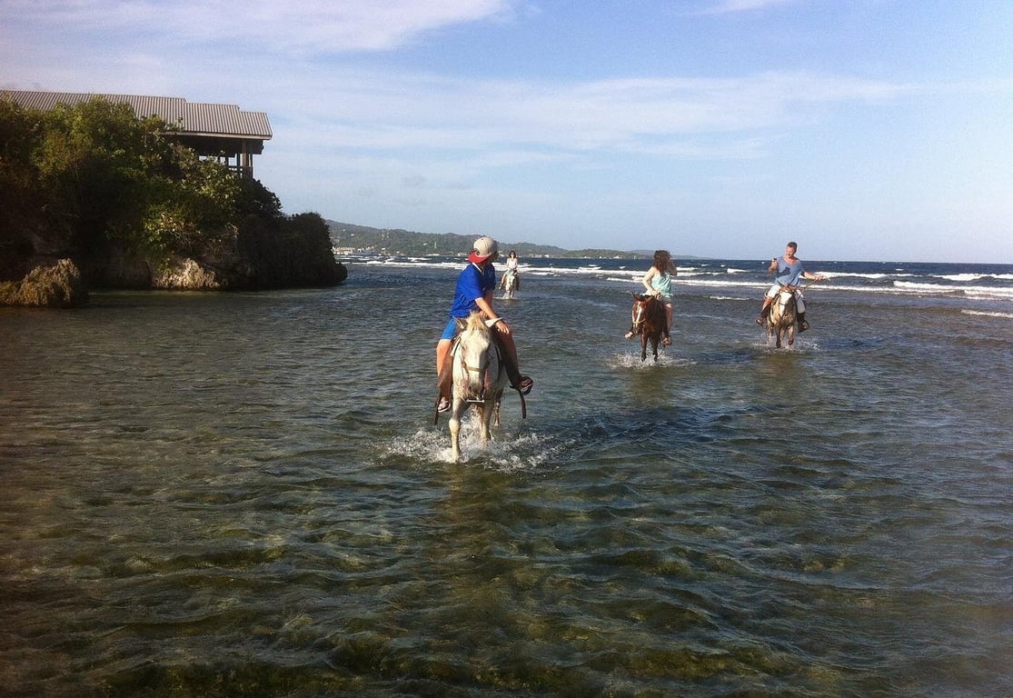 Horseback Riding & Sloth Excursion Tour Image 2