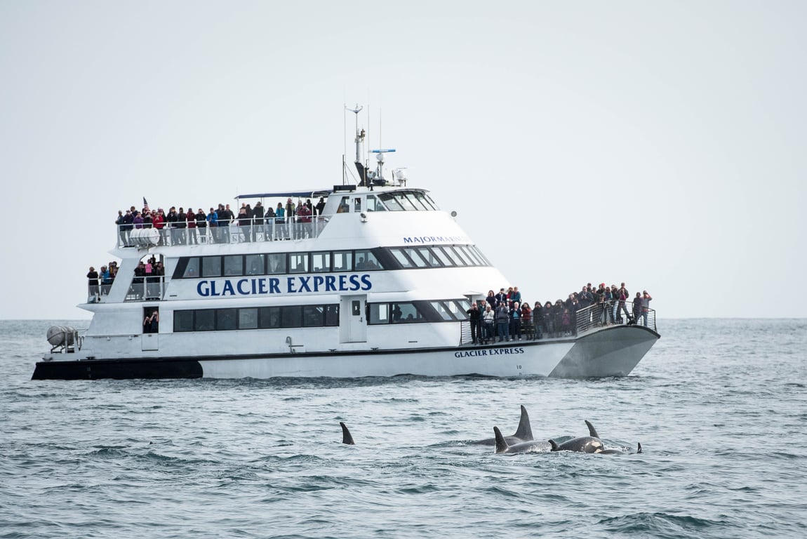 6 Hour Kenai Fjords National Park Cruise Tour Image 2