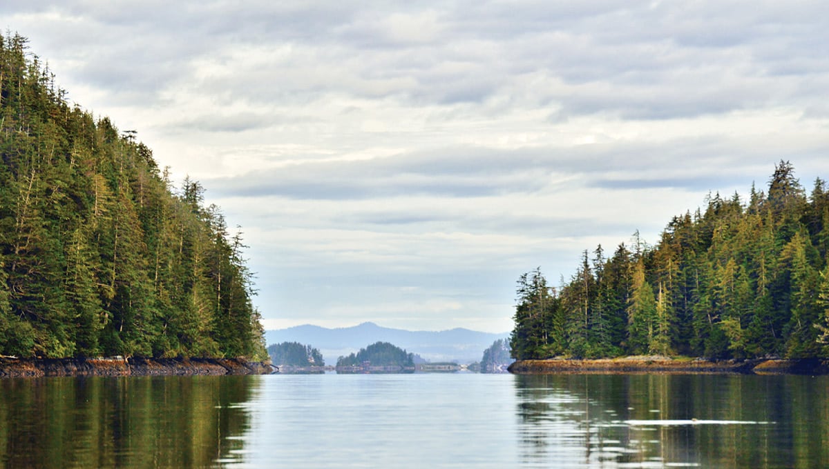 Wilderness Sea Kayaking Adventure Tour Image 7