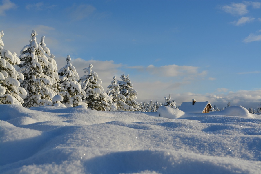 A beautiful winter view