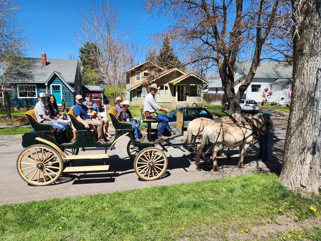 One Hour Bozeman City Carridge image
