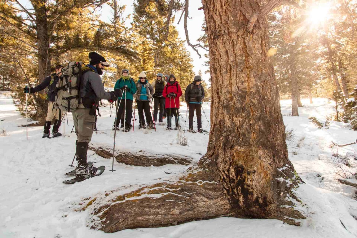 Thumbnail of video about Snowshoe in Kalispell