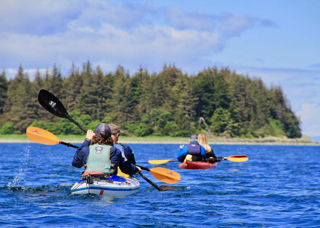 Paddle with Whales Kayak Adventure Tour Image 3