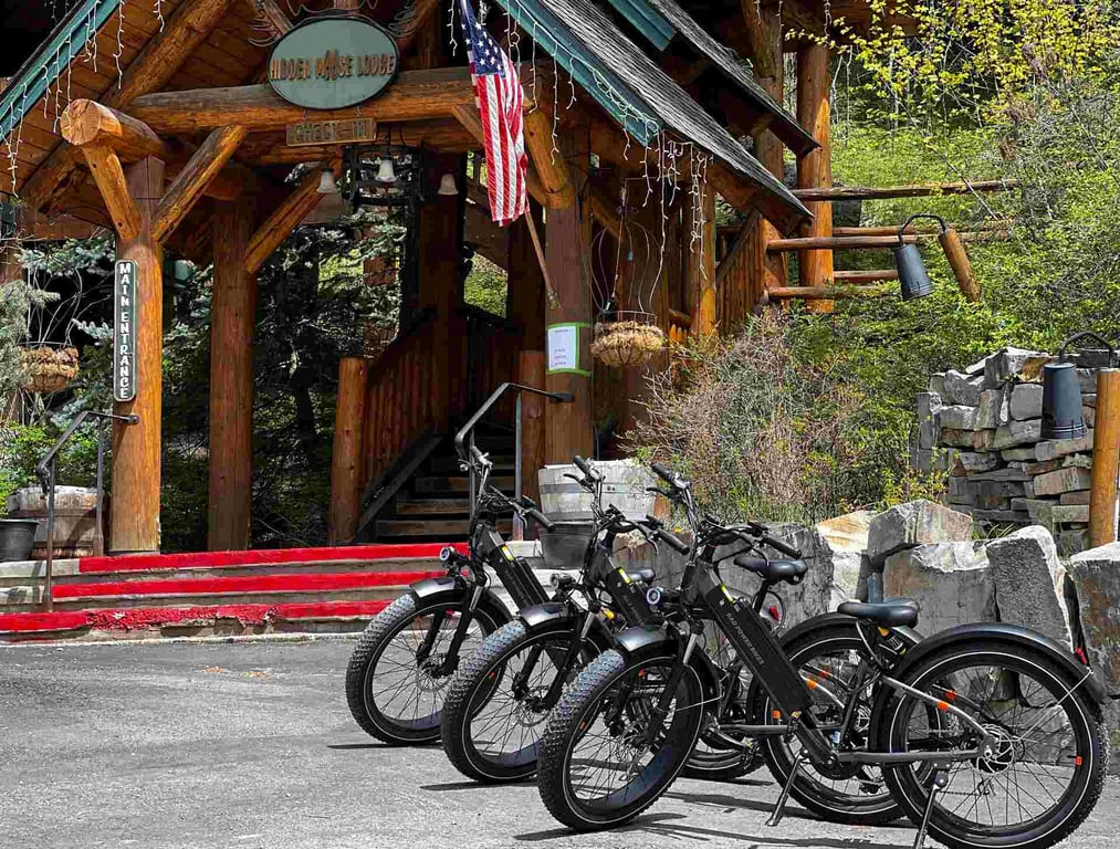 Whitefish E-Bike Rental Tour Image 3