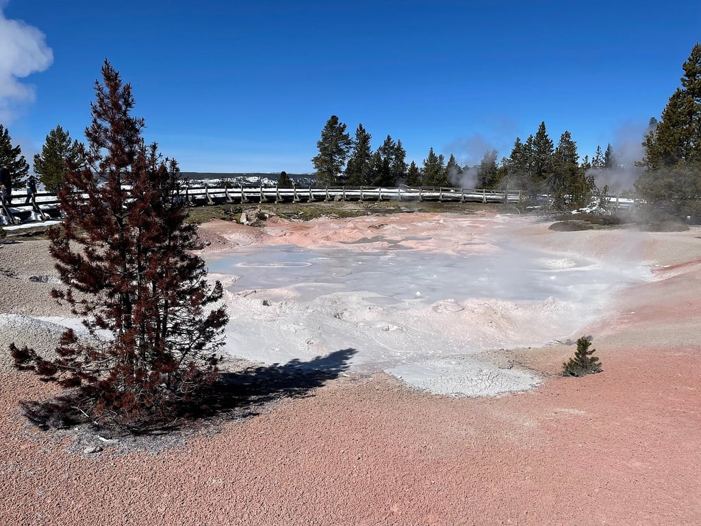 Awesome Yellowstone experience! review image 0