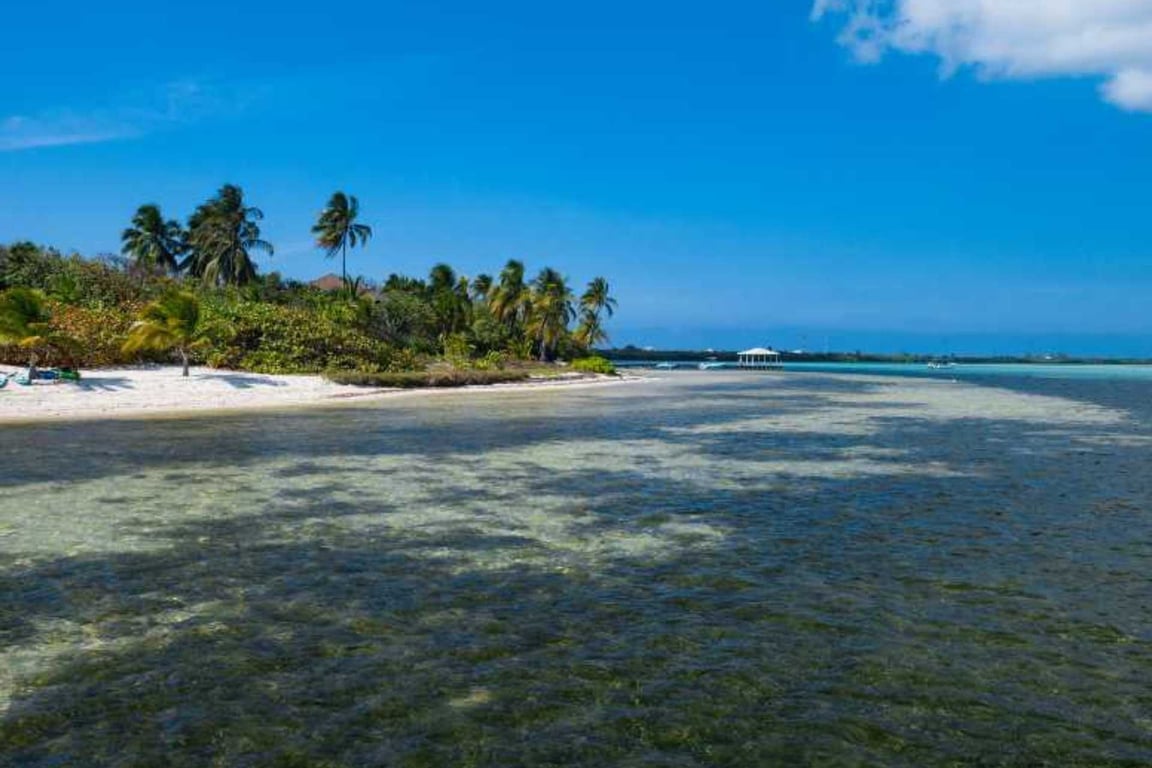 Our Favorite Things to Do & See in little cayman image