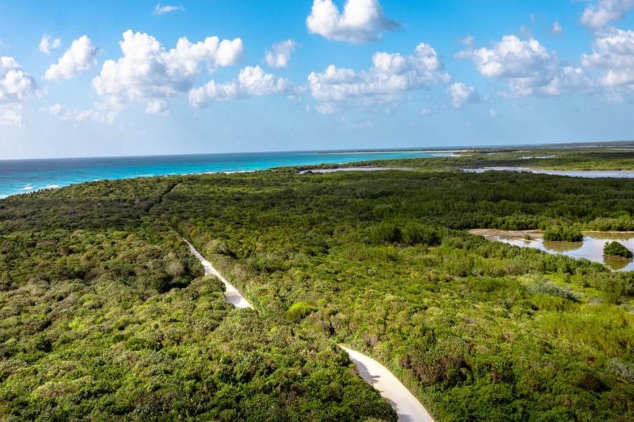 Weather in Cozumel: What to Expect in Every Season