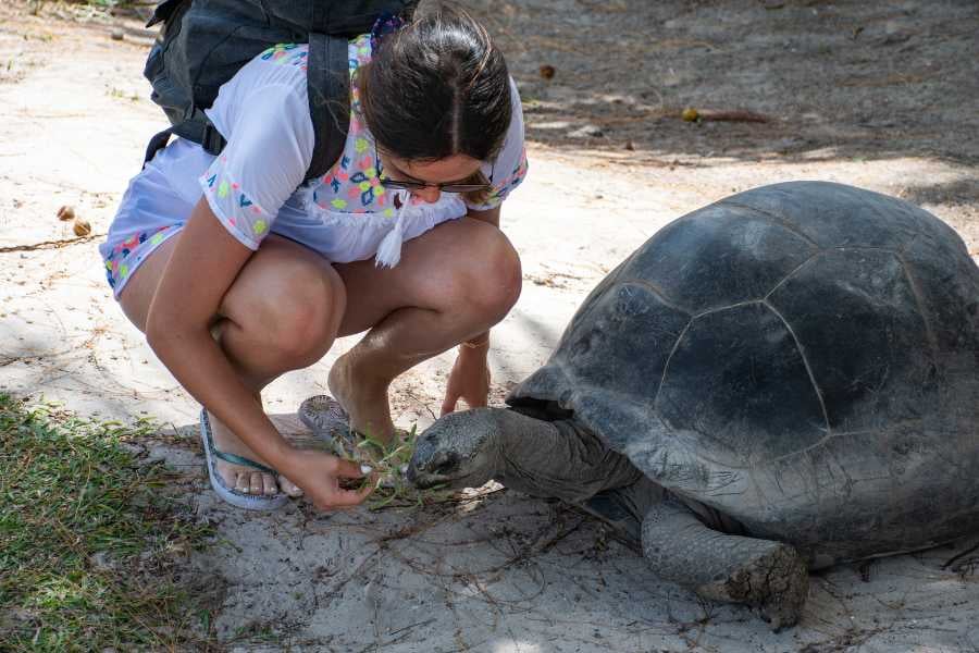 A woman is feeding something to a turtle