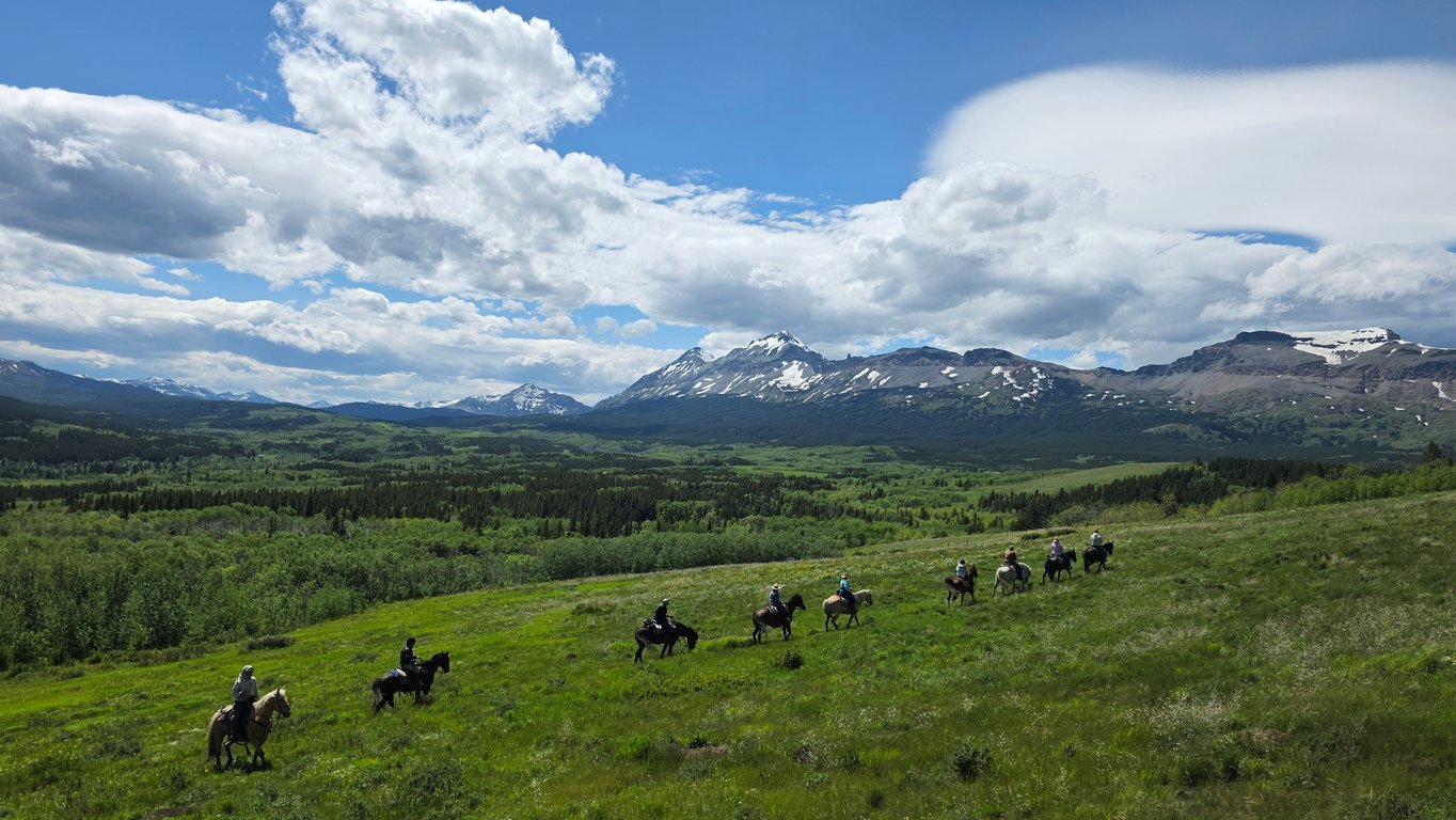 Horseback Trail Ride - Half-Day Tour Image 2