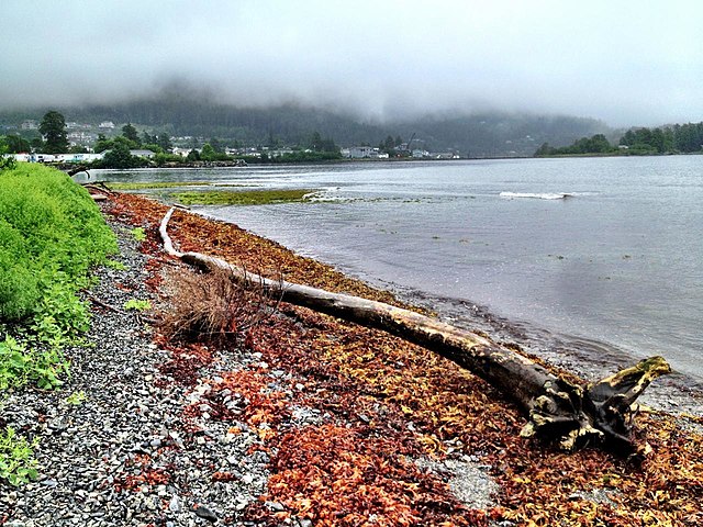 Your Guide to Sitka Cruise Port: Culture, Wildlife, and Scenic Adventures