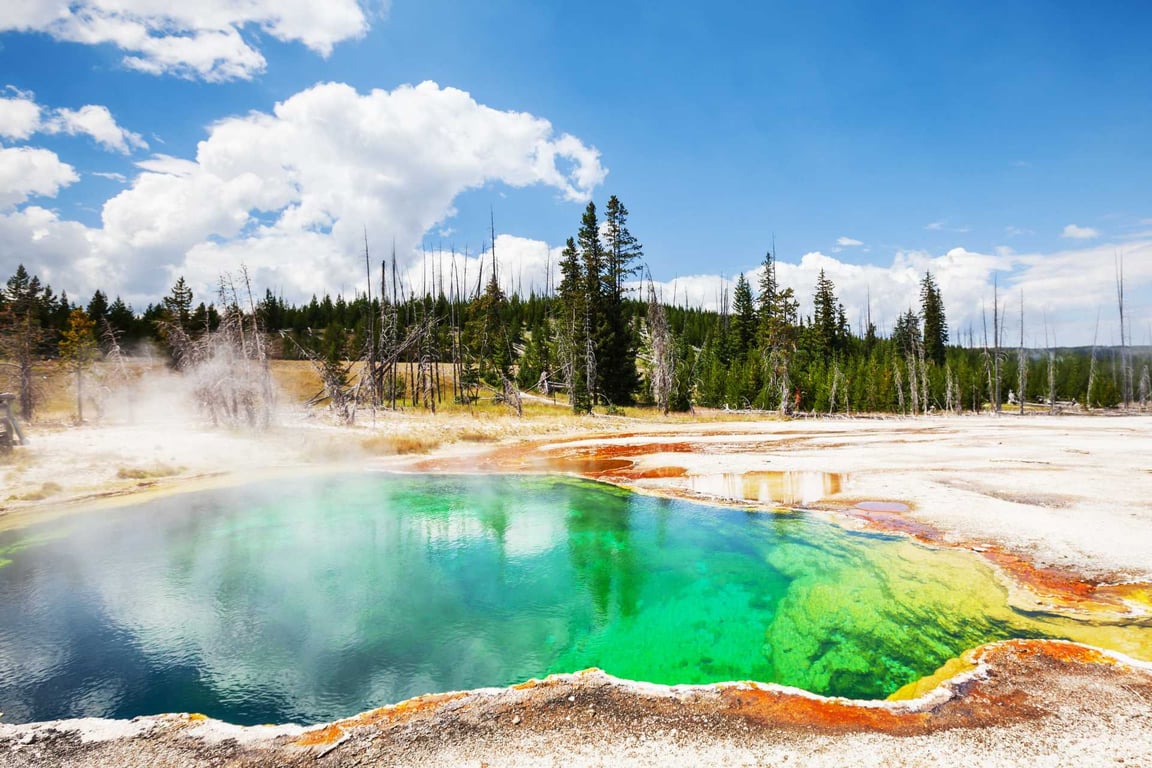 Yellowstone Private Thermal Basins Geyser Journey image