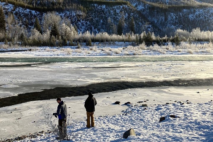 Glacier Park Full-Day Private Snowshoe Tour Tour Image 5