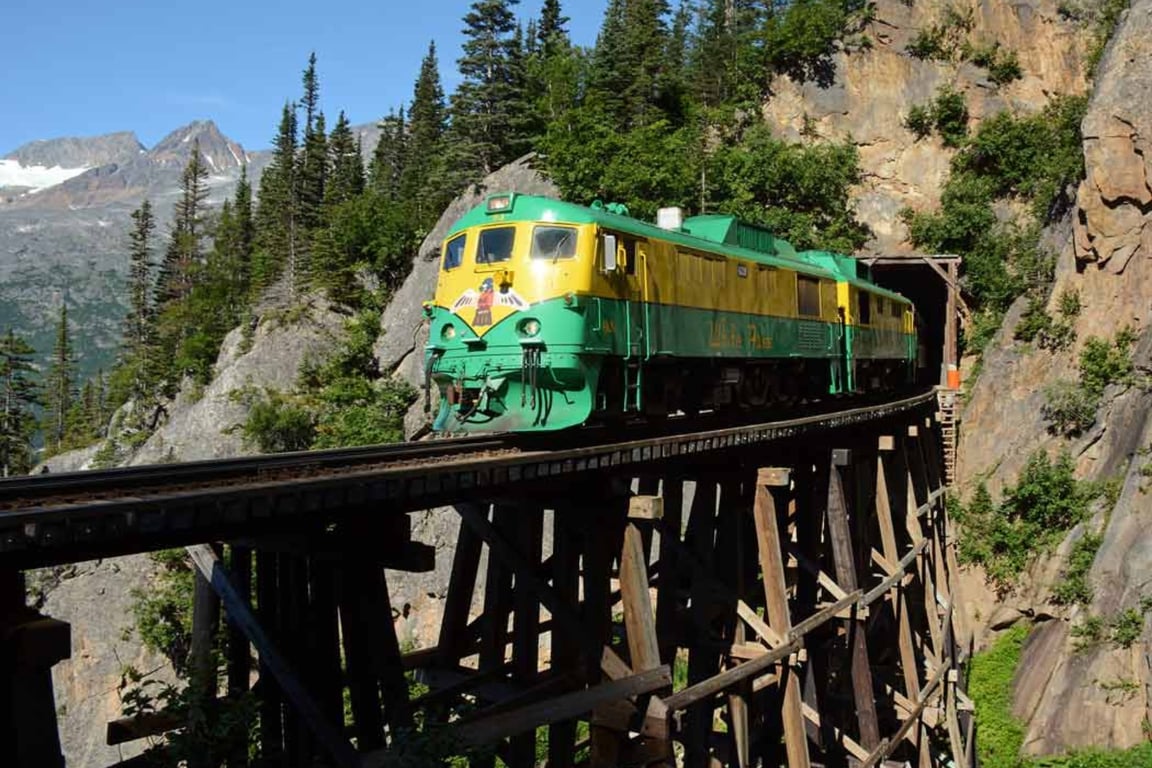 White Pass Summit Excursion image