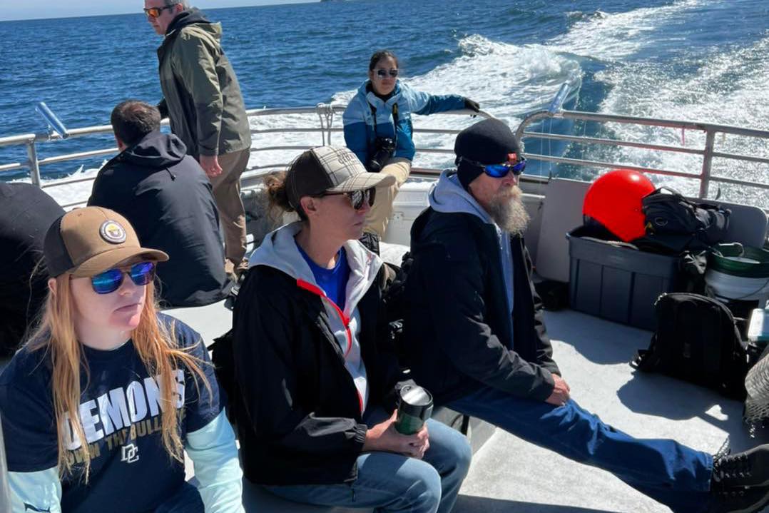 Small Boat Whale Watching and Sightseeing Tour Tour Image 2