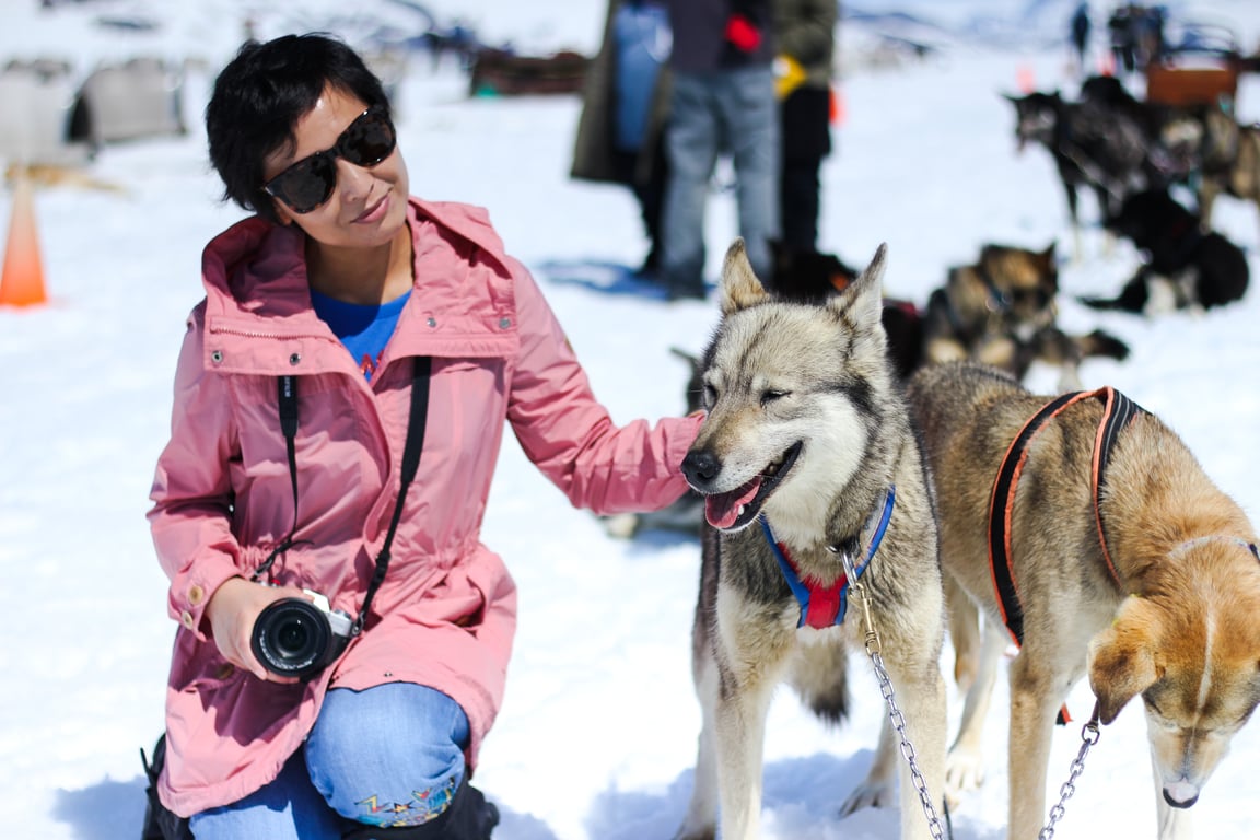 Glacier Dog Sled Adventure Tour Image 6