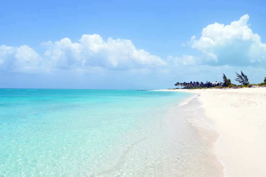 A beautiful view of the beach