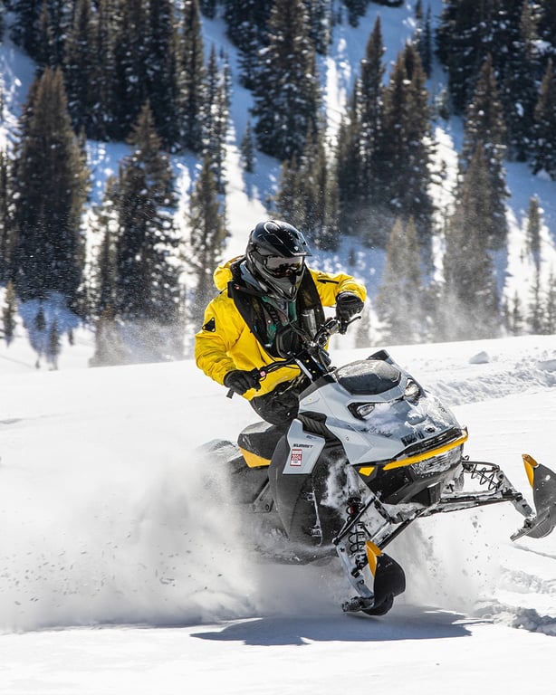 Alpine Express Two Hour Snowmobile Tour Tour Image 7