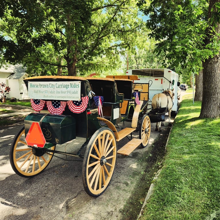 One Hour Bozeman City Carridge Tour Image 4
