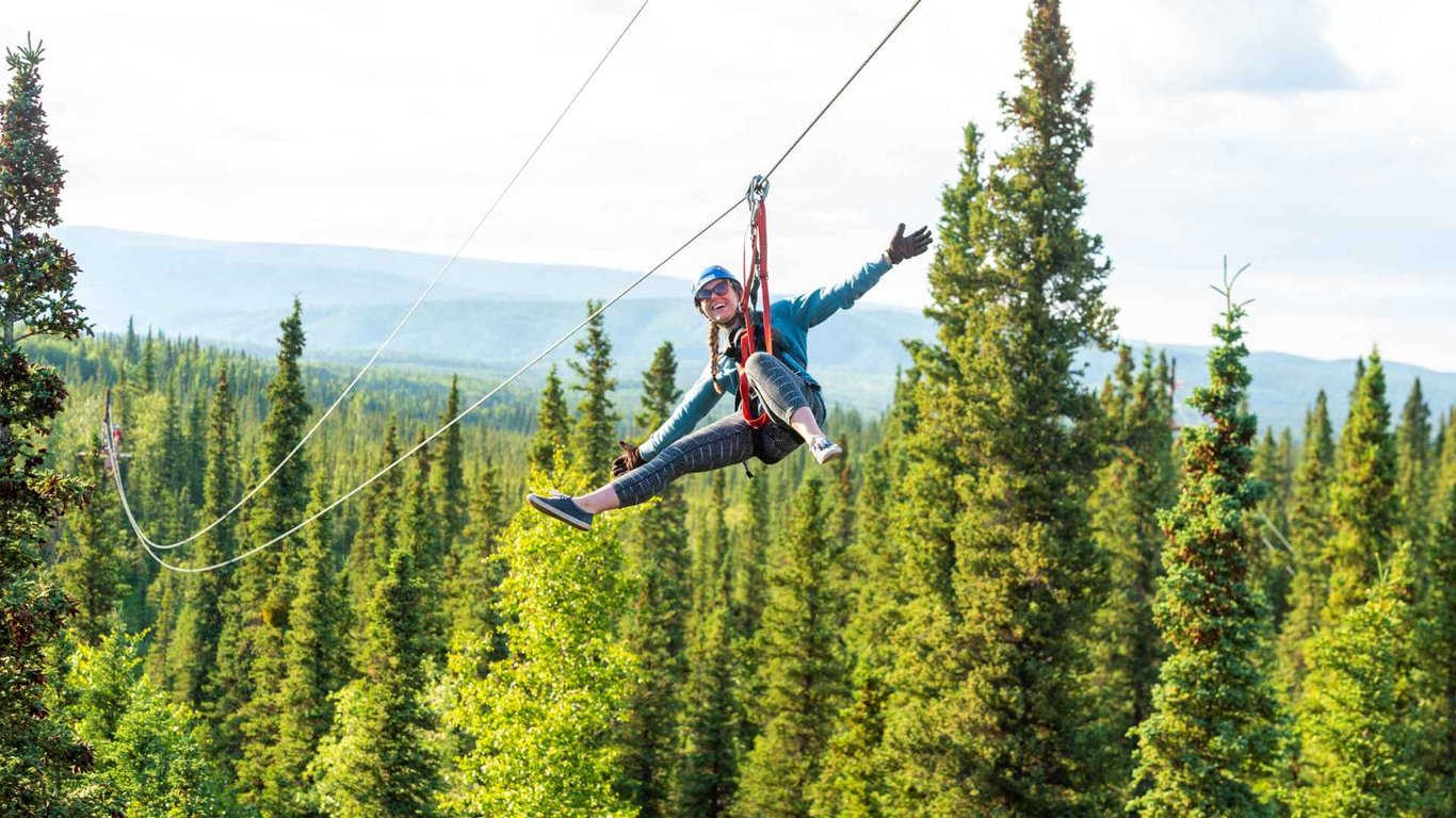 Denali Park Zipline Adventure Tour Image 1