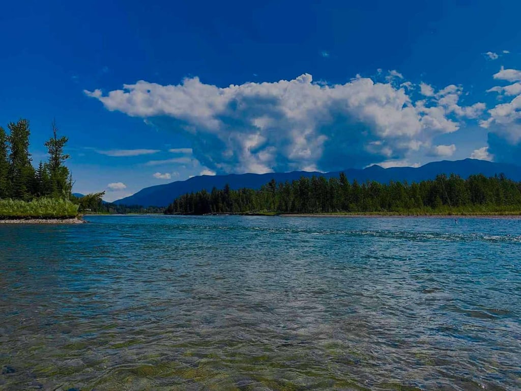 Montana Fly Fishing - Full-Day Tour Image 4