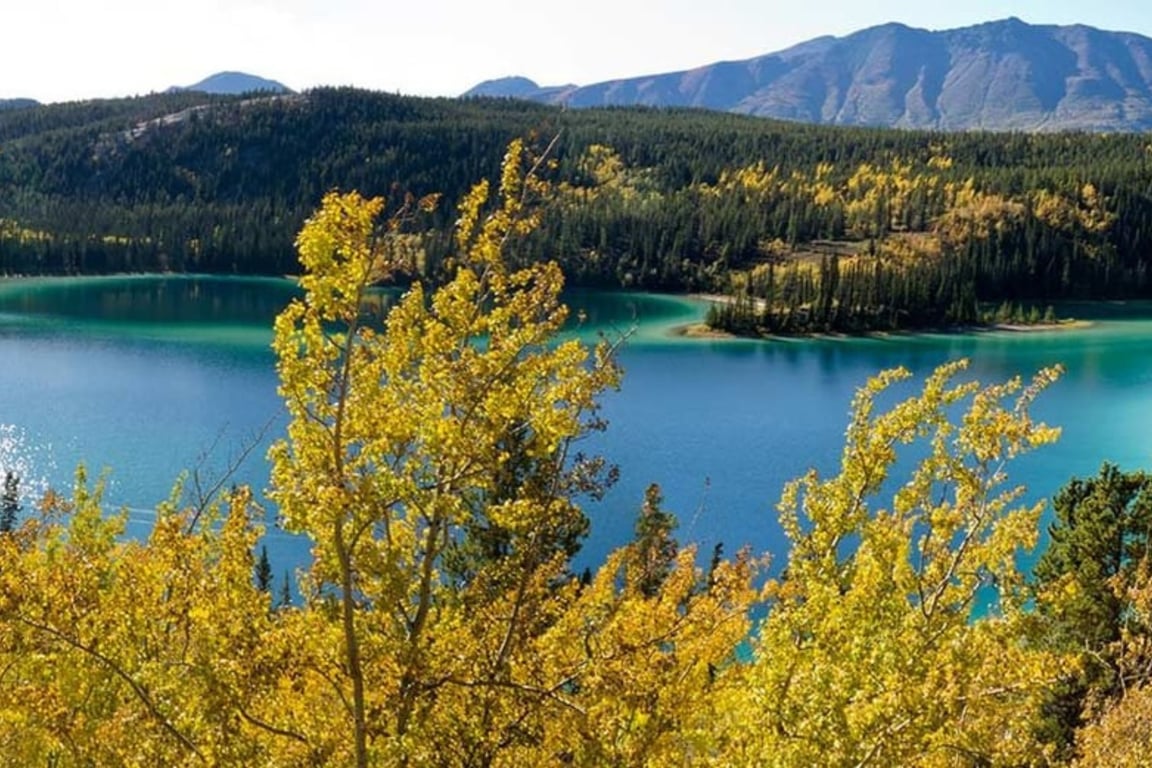Yukon Discovery Tour Image 5