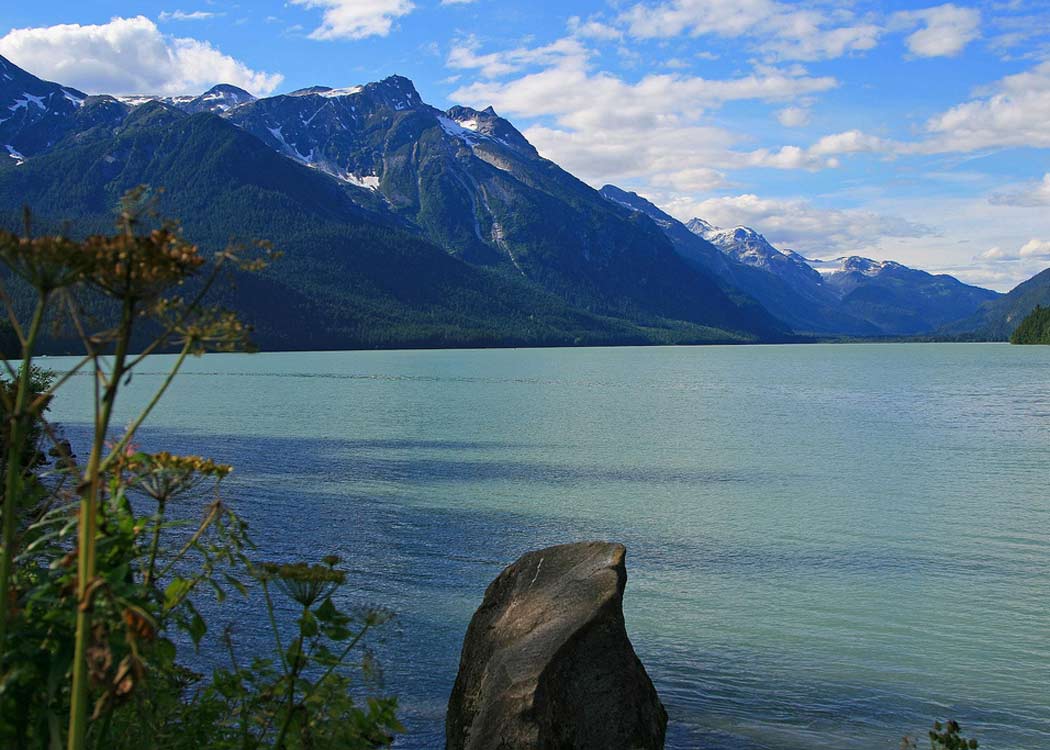 Wildlife Safari & Bear Viewing Tour Image 2