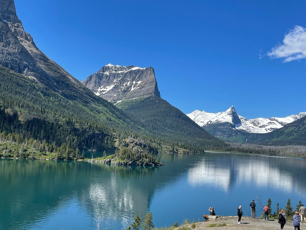 Great experience review image 0