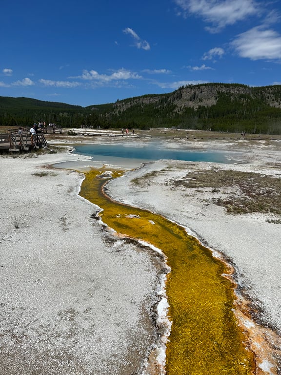 Yellowstone Highlights Tour Tour Image 3