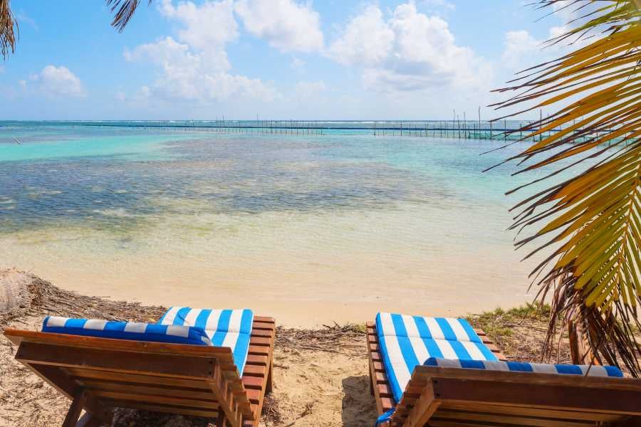 Two lounge chairs sit under palm trees, facing a peaceful, turquoise sea.