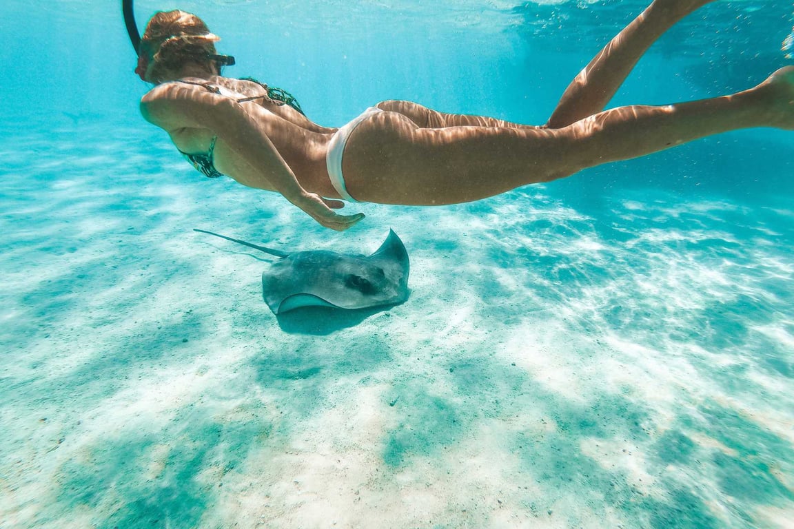 Stingray Beach: Our Expert Visitor's Guide image