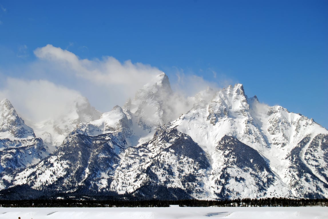 Winter Wonderland Adventure image