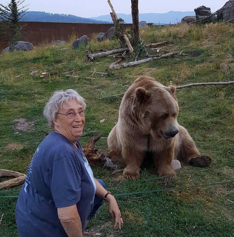 Montana Grizzly Encounter Tour Image 10