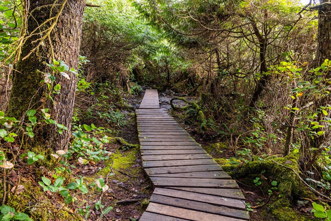 Two Lakes Park Park in Seward, Alaska: What Makes It So Special