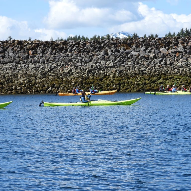 Guided Kayak Tour Tour Image 2