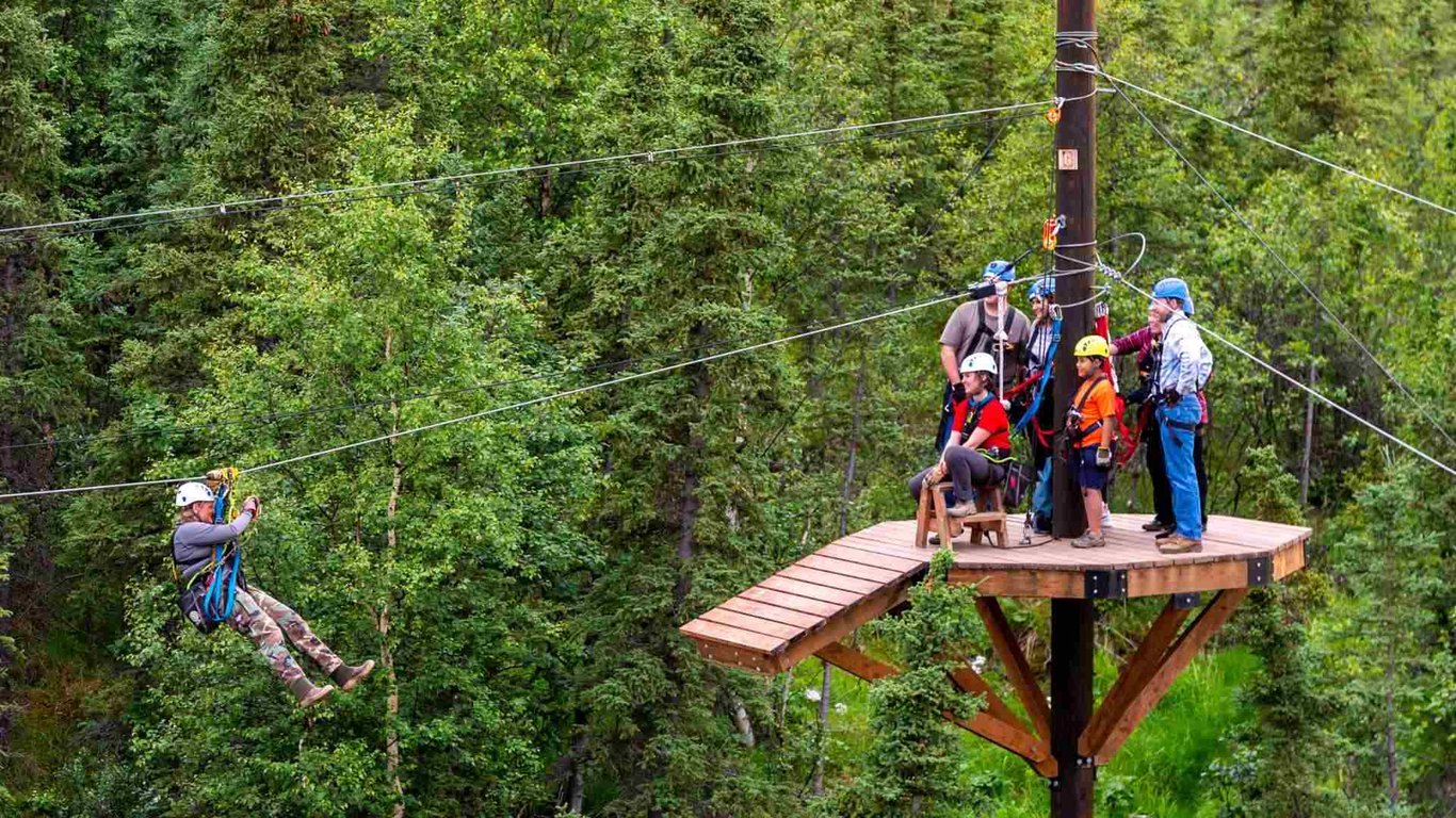 Denali Park Zipline Adventure Tour Image 4