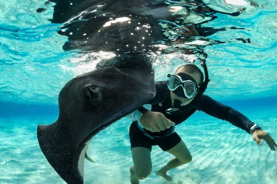 A snorkeler shares a thrilling underwater moment with a curious stingray in crystal-clear tropical waters.