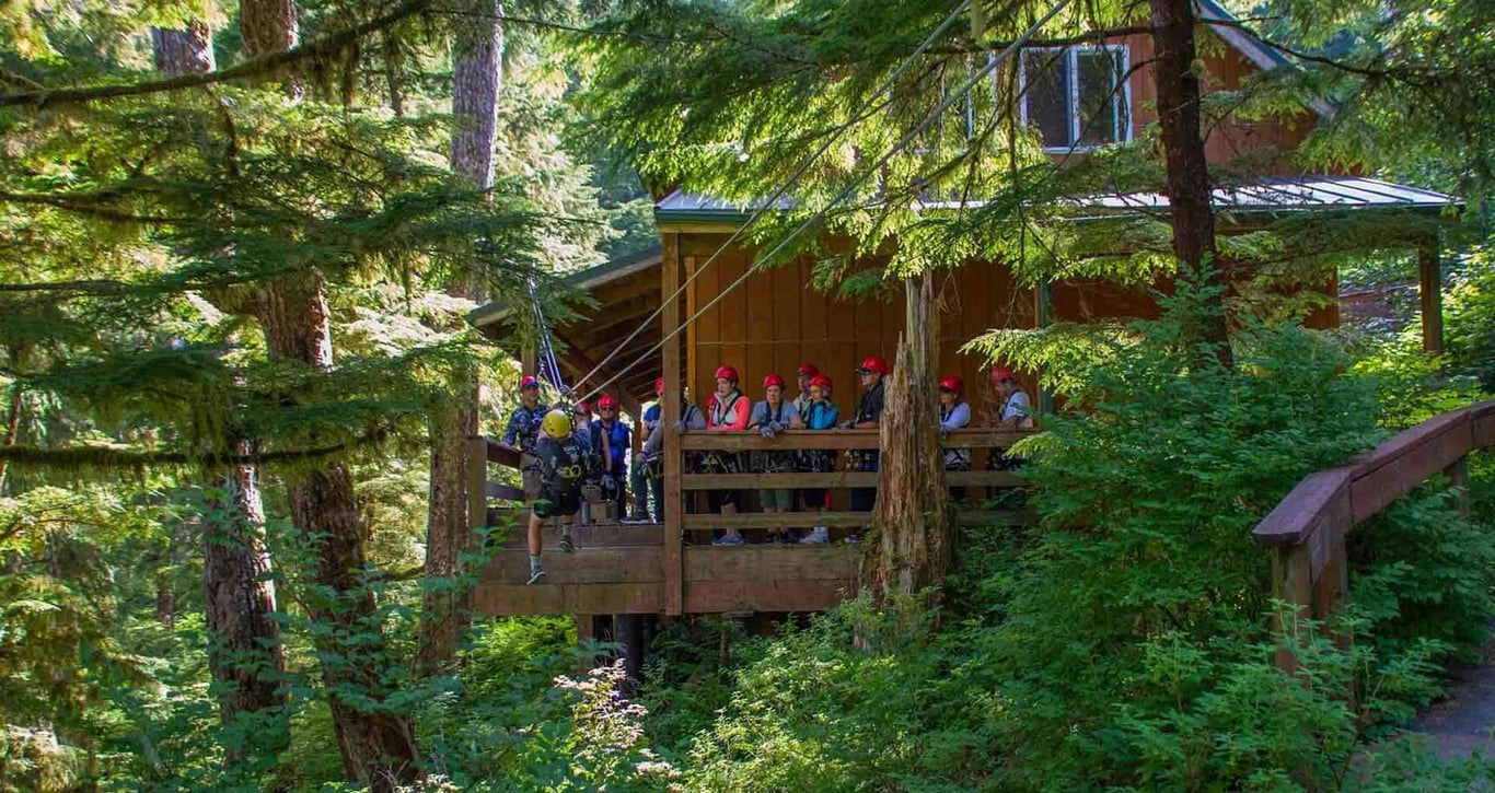 Rainforest Canopy & Zipline Expedition Tour Image 3
