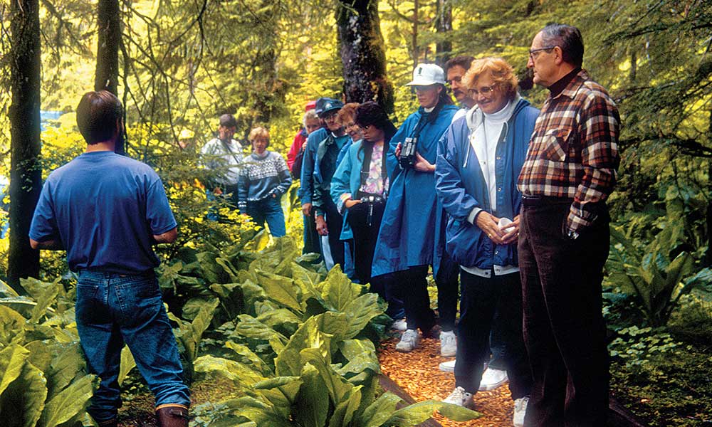 Rainforest Island Adventure Tour Image 6