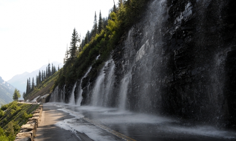 Weeping Wall in Glacier