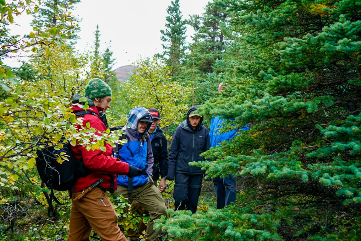 Denali Wilderness Survival Tour Tour Image 3