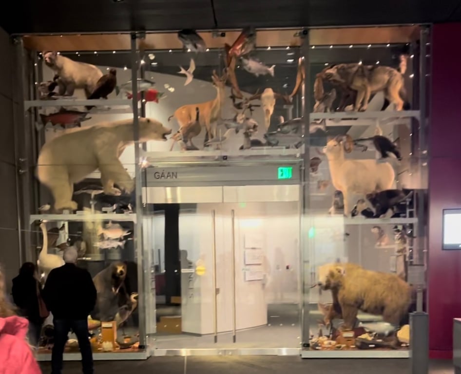 The Alaska State Museum: What Makes It Special