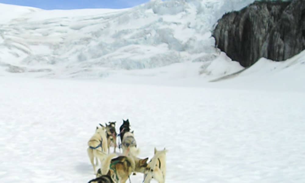 Helicopter & Dogsled Glacier Excursion Tour Image 11