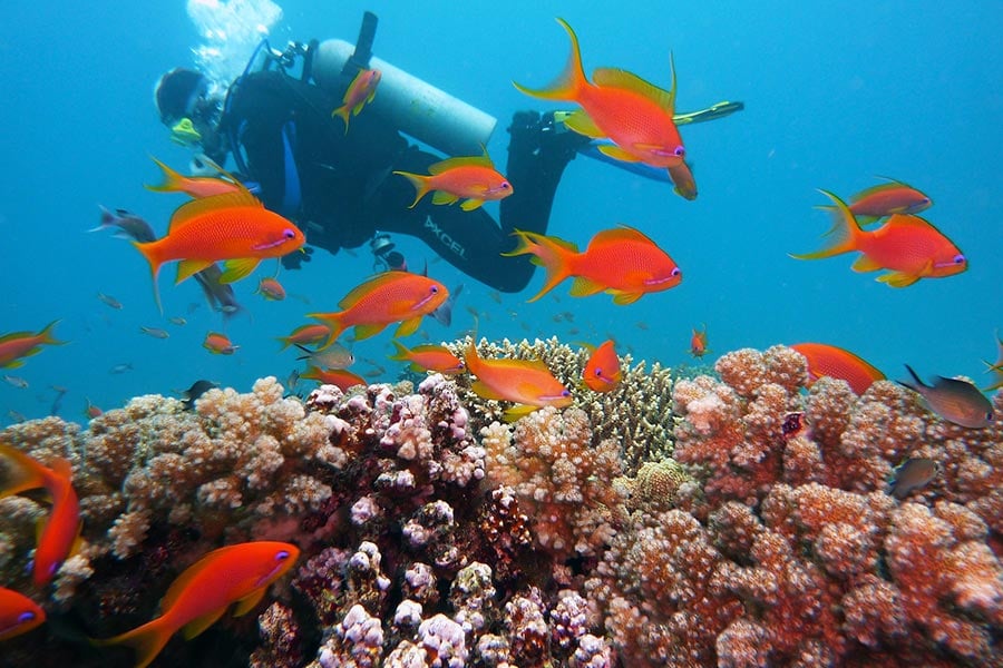 Things to do in Roatan