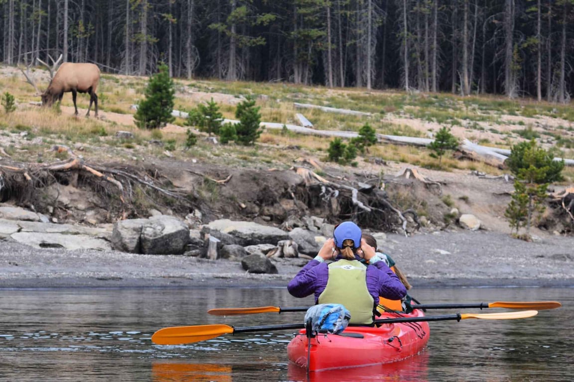 Yellowstone Two-Lake Kayak & Hike Combo Adventure Tour Image 6