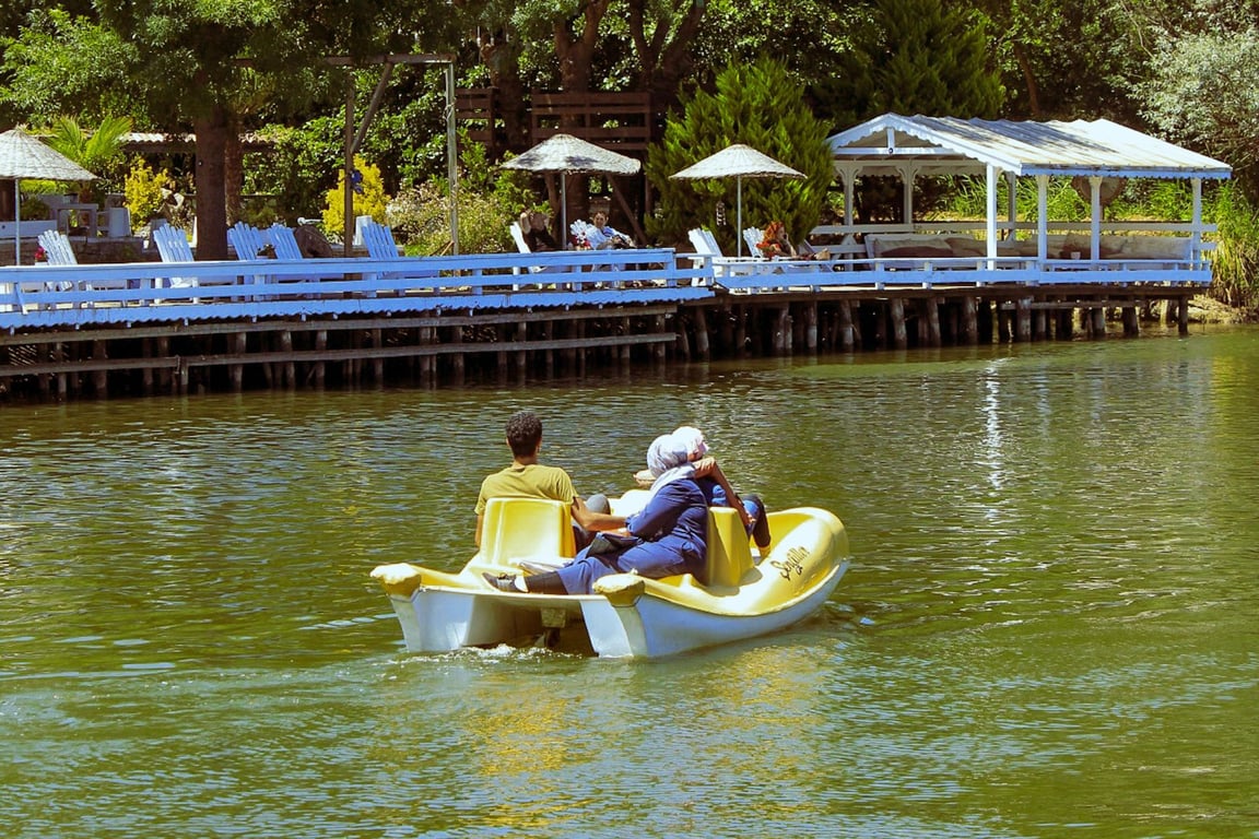 4 Seater Pedal Boat Tour Image 2